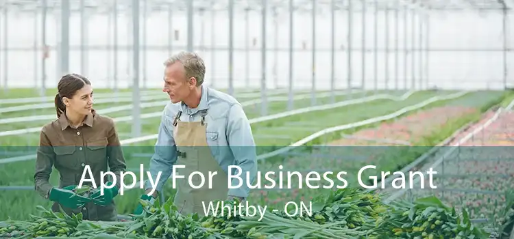 Apply For Business Grant Whitby - ON